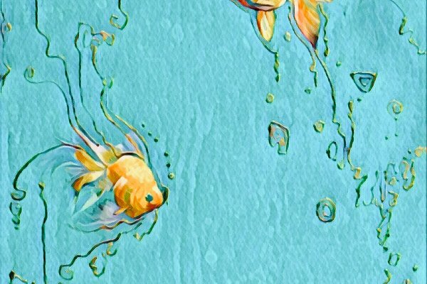 Kraken ссылка kraken clear com