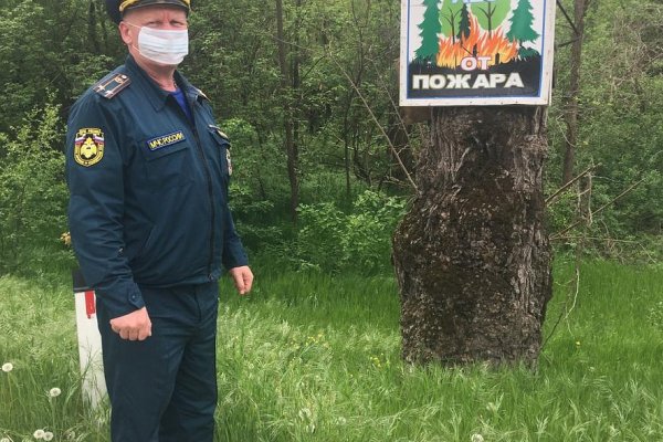 Ссылки кракен телеграф