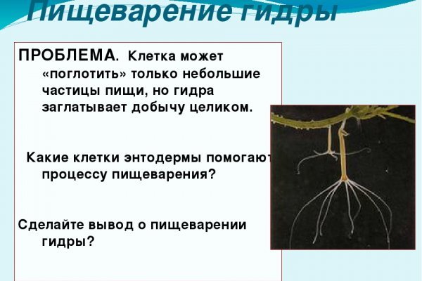 Рабочая ссылка на кракен в торе