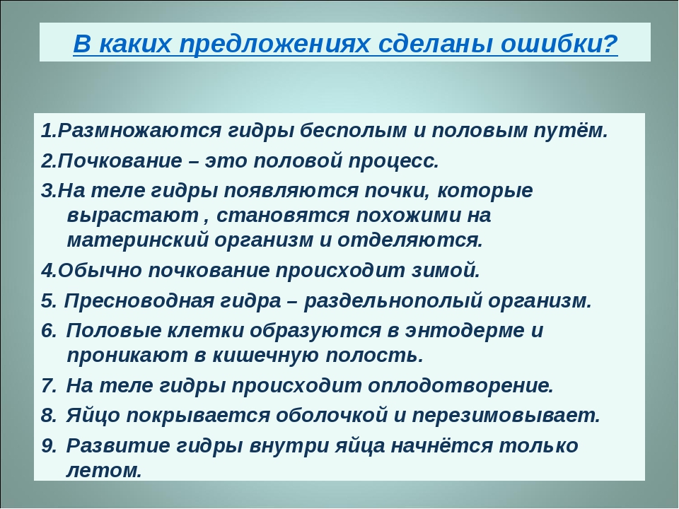 Ссылка кракен kr2web in
